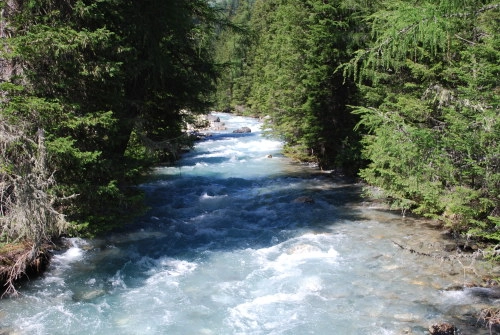 zobacz camping - zdjęcie 12