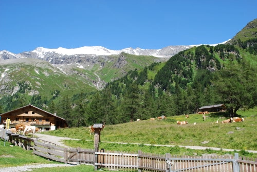 Nationalpark Camping Kals am Großglockner - zdjęcie 1