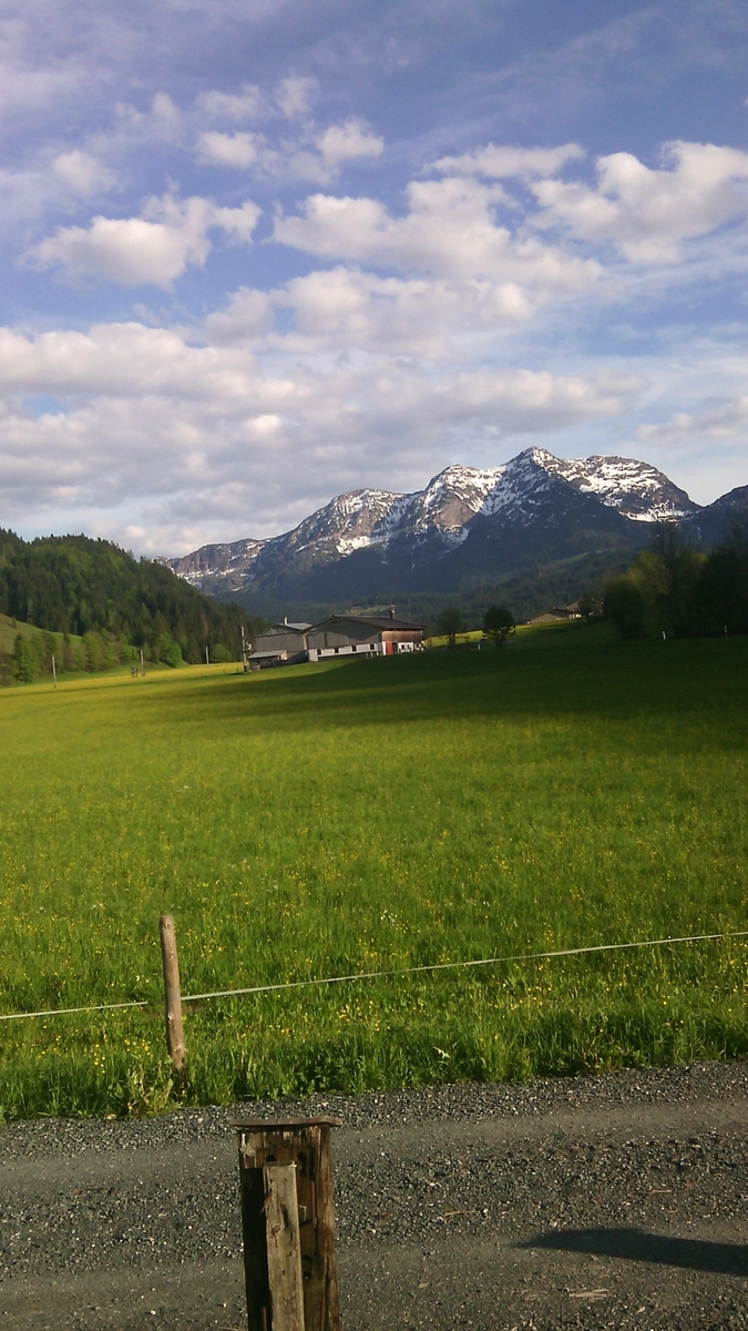 zobacz camping - zdjęcie 16