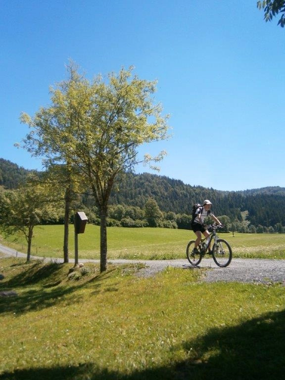 zobacz camping - zdjęcie 15