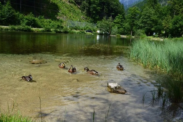 zobacz camping - zdjęcie 9