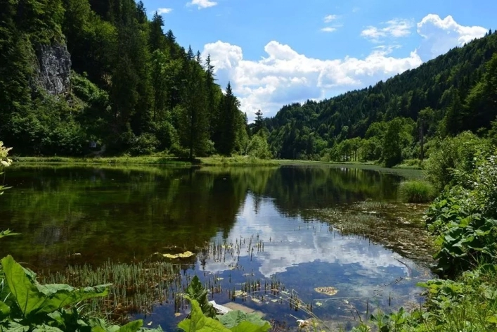 Naturcamping Maurerhäusl - zdjęcie 4