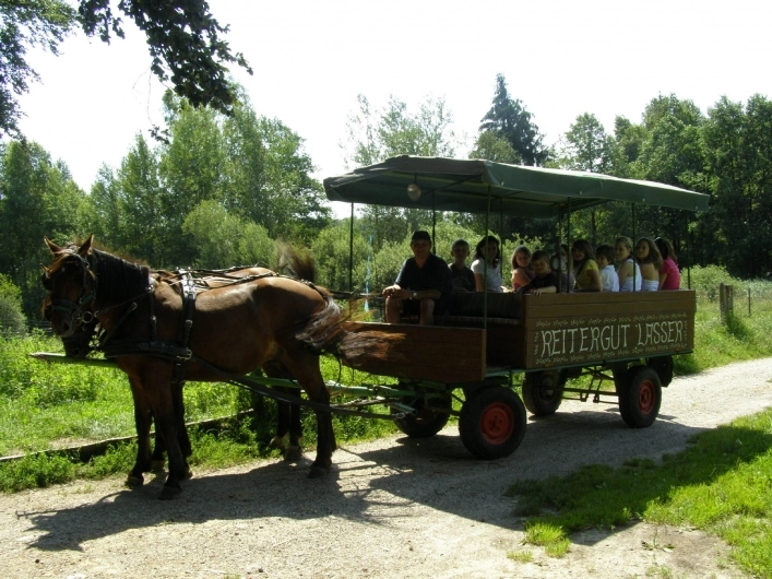 zobacz camping - zdjęcie 21