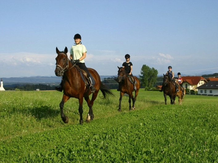 zobacz camping - zdjęcie 7