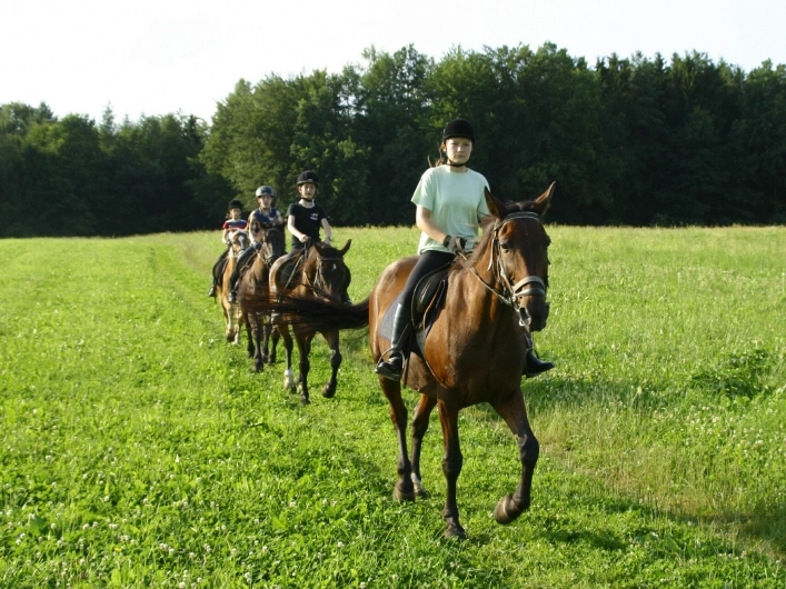 zobacz camping - zdjęcie 2