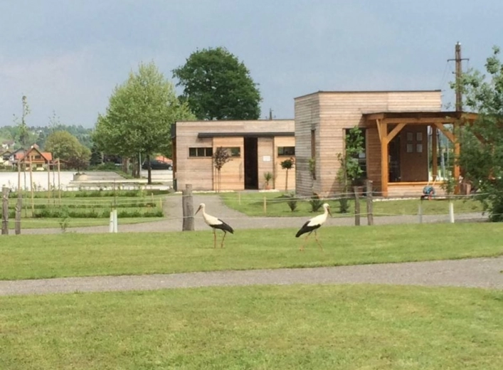 zobacz camping - zdjęcie 11