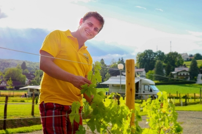 zobacz camping - zdjęcie 7