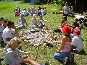 zobacz camping - zdjęcie 12