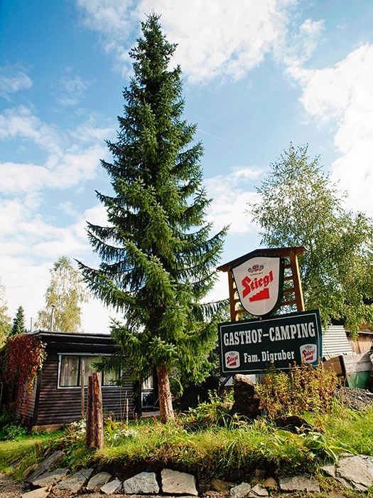 zobacz camping - zdjęcie 11