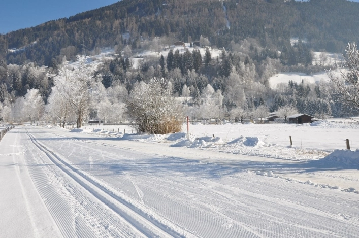 zobacz camping - zdjęcie 19