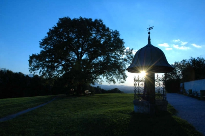 zobacz camping - zdjęcie 18