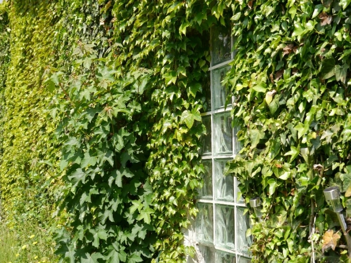 zobacz camping - zdjęcie 13