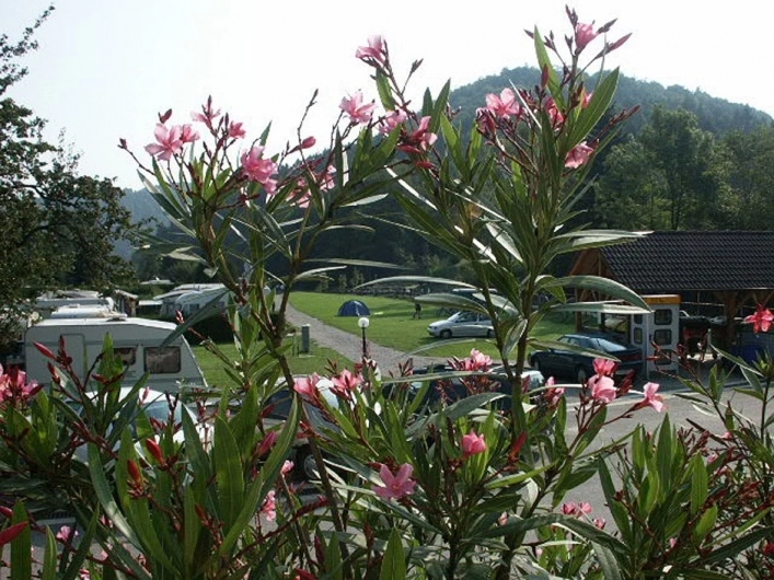 Paradise-Garden Camping - zdjęcie 1