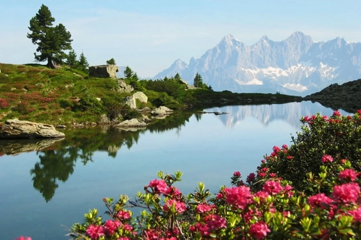 zobacz camping - zdjęcie 13