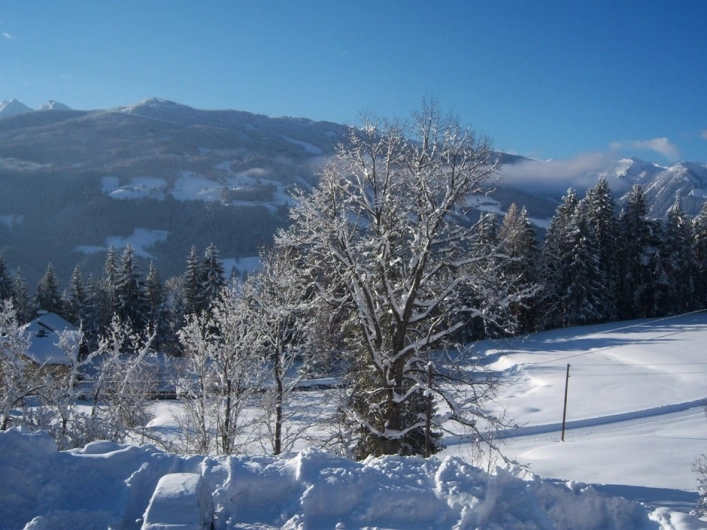 Reitercamp Ortnerhof - zdjęcie 2