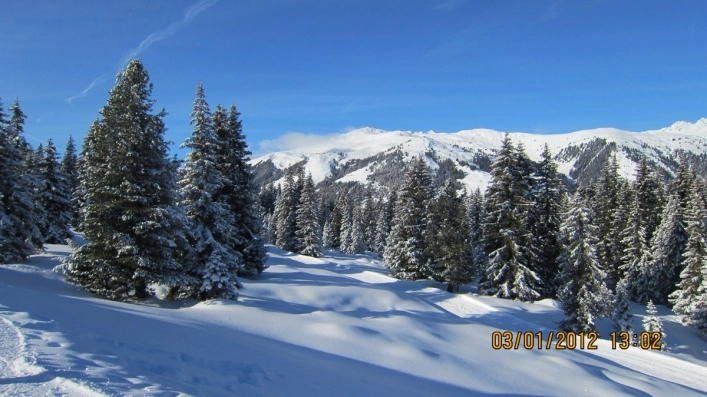 S.N.P. Camping - zdjęcie 4