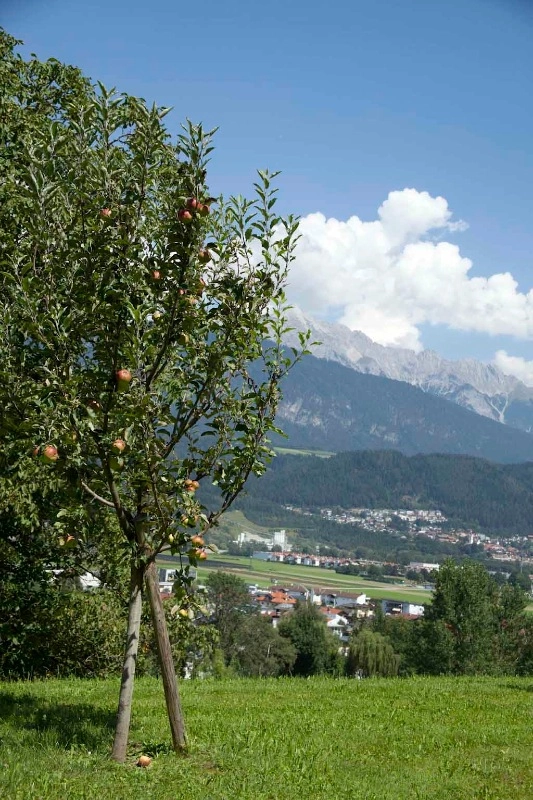 zobacz camping - zdjęcie 28