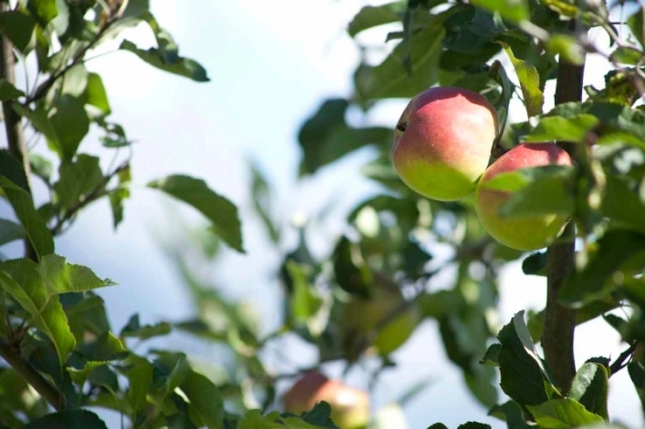 zobacz camping - zdjęcie 15