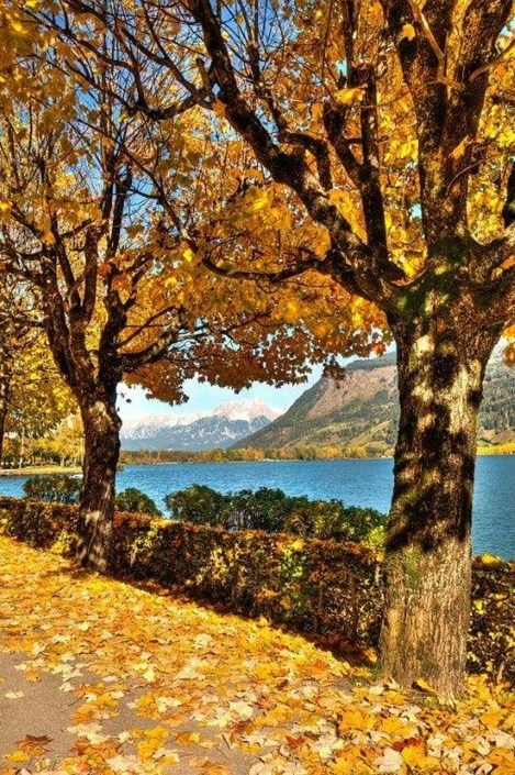 zobacz camping - zdjęcie 6