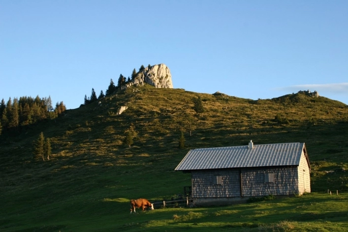 zobacz camping - zdjęcie 1