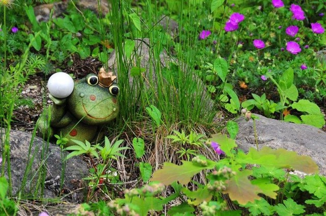 zobacz camping - zdjęcie 21