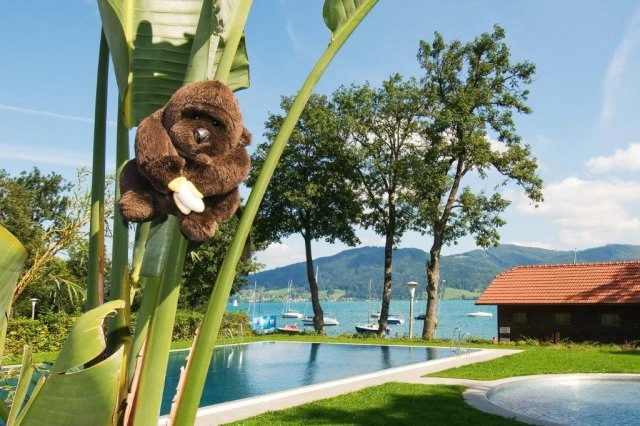 zobacz camping - zdjęcie 16