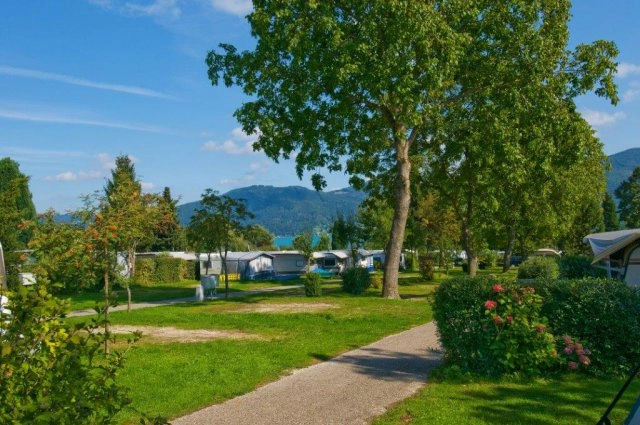 zobacz camping - zdjęcie 11