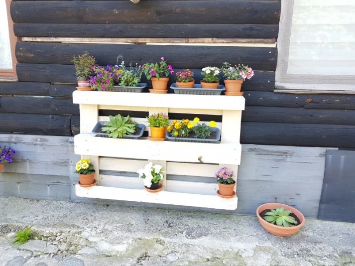 zobacz camping - zdjęcie 20