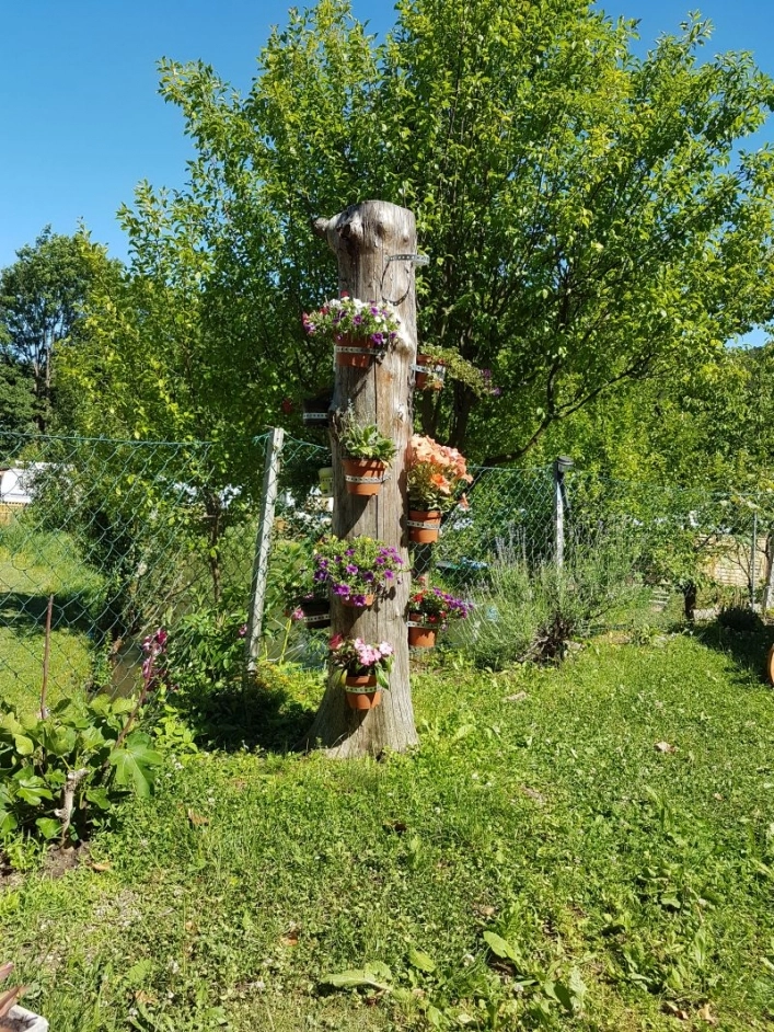 zobacz camping - zdjęcie 13