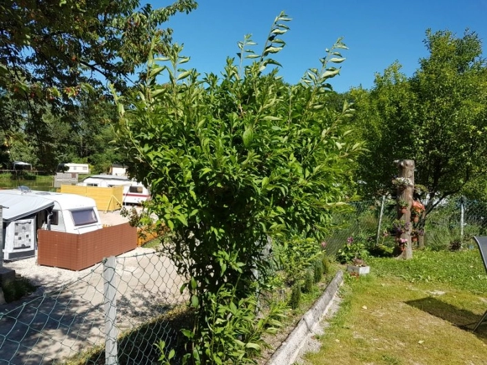 zobacz camping - zdjęcie 12