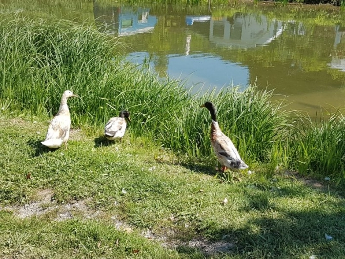 zobacz camping - zdjęcie 8