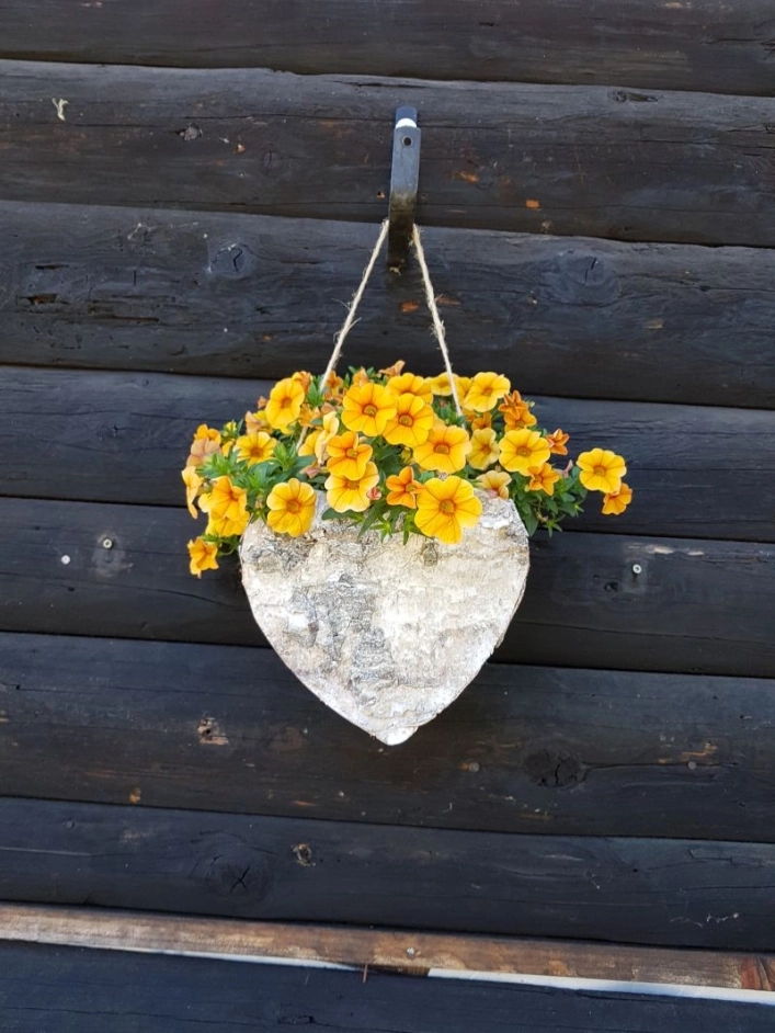 Seecamping Masai Mara - zdjęcie 1