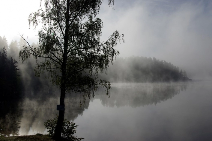 zobacz camping - zdjęcie 3