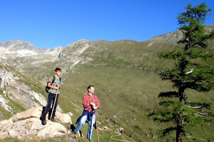 zobacz camping - zdjęcie 7