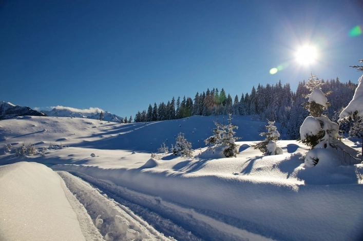 Sportcamp Woferlgut - zdjęcie 2