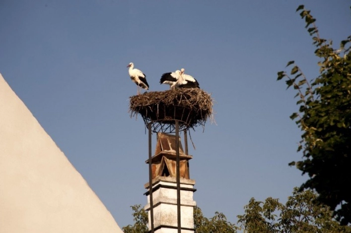 zobacz camping - zdjęcie 21