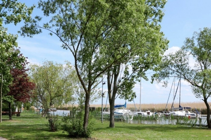 zobacz camping - zdjęcie 10