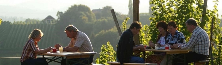 zobacz camping - zdjęcie 18