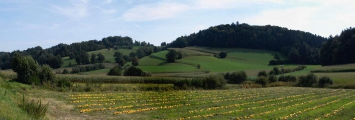 zobacz camping - zdjęcie 11