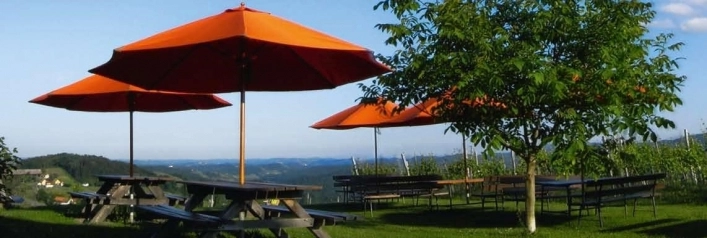 zobacz camping - zdjęcie 9