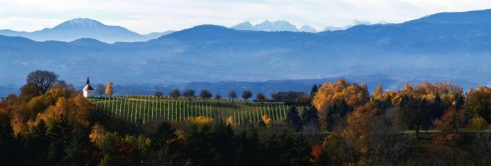 Südsteirisches Weinland-Camping - zdjęcie 2