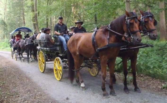 zobacz camping - zdjęcie 11