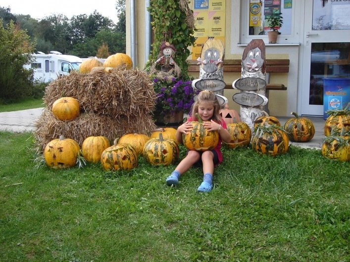 zobacz camping - zdjęcie 12