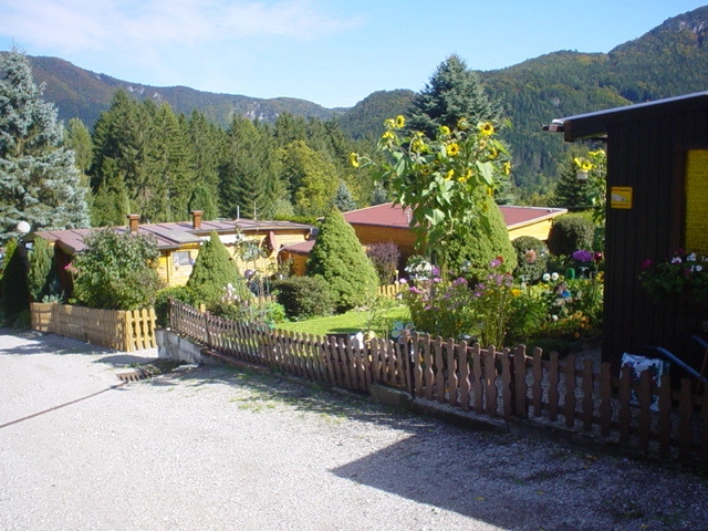 zobacz camping - zdjęcie 3