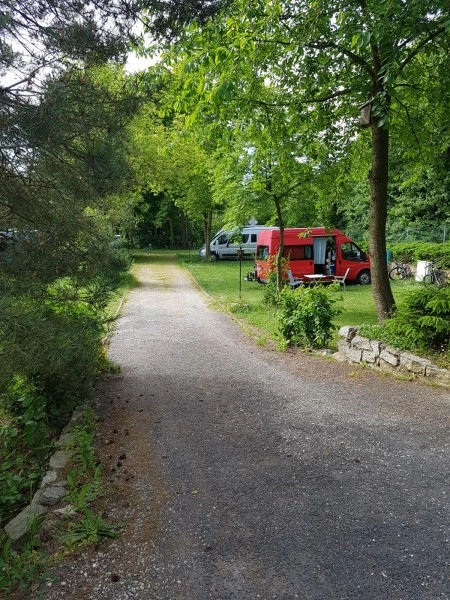 Waldcamping Hubertus - zdjęcie 2