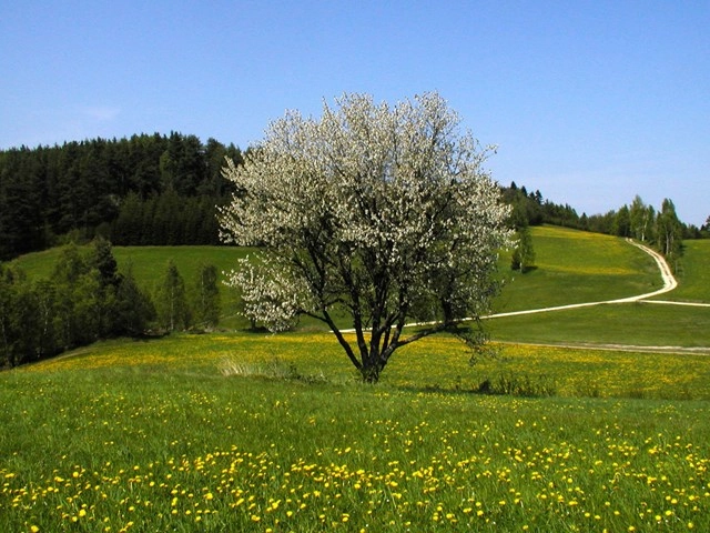 zobacz camping - zdjęcie 8
