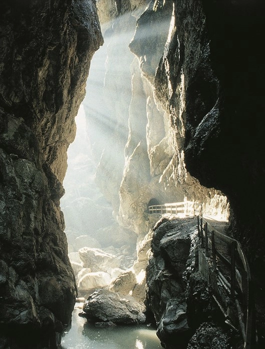 zobacz camping - zdjęcie 7