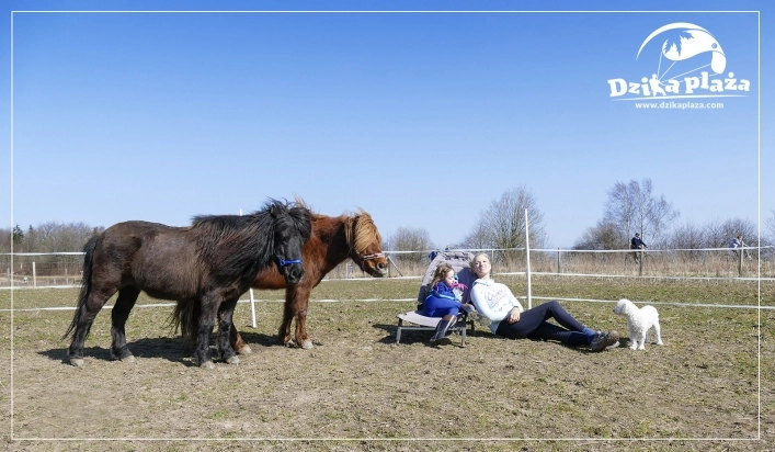 Dzika plaża - zdjęcie 4
