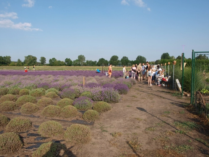 zobacz camping - zdjęcie 13