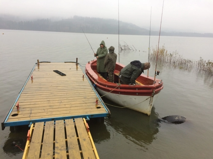 zobacz camping - zdjęcie 17